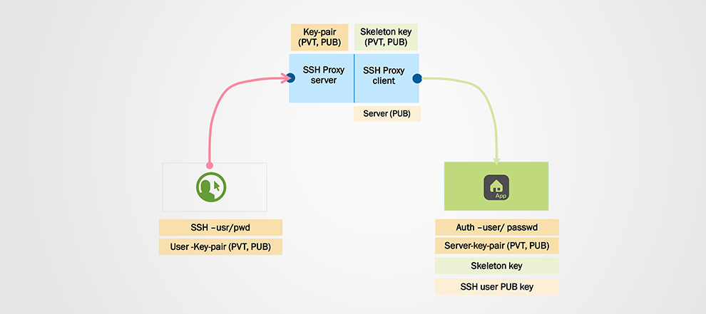 ssh proxy for asycuda ssh proxy for asycuda